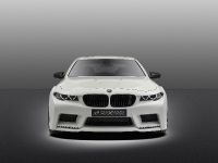 Hamann Mi5Sion BMW F10 M5 (2013)