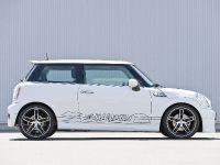 HAMANN MINI with HM EVO (2008) - picture 1 of 14