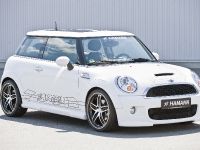 HAMANN MINI with HM EVO (2008) - picture 2 of 14