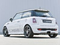 HAMANN MINI with HM EVO (2008) - picture 6 of 14