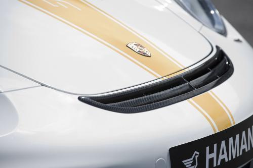 HAMANN STALLION Porsche 911 Turbo (2008) - picture 9 of 34