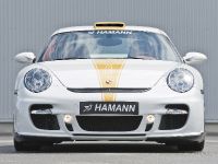 HAMANN STALLION Porsche 911 Turbo (2008) - picture 2 of 34