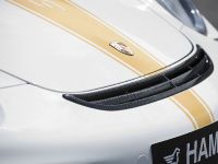HAMANN STALLION Porsche 911 Turbo (2008)