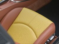 HAMANN STALLION Porsche 911 Turbo (2008)