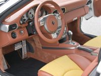 HAMANN STALLION Porsche 911 Turbo (2008)