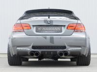 HAMANN THUNDER BMW 3 Series (2007) - picture 7 of 10