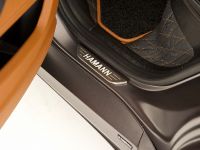 HAMANN TYCOON EVO BMW X6 M (2011)