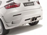 HAMANN BMW X6 TYCOON EVO (2009) - picture 14 of 32