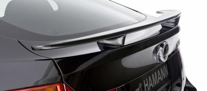 HAMANN Tycoon BMW X6 (2009) - picture 20 of 32