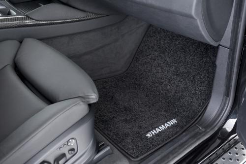 HAMANN Tycoon BMW X6 (2009) - picture 24 of 32