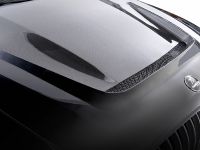 HAMANN Tycoon BMW X6 (2009) - picture 11 of 32