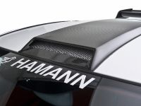 HAMANN Volcano Mercedes SLR McLaren (2009)
