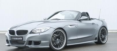 HAMANN BMW Z4 sDrive35i (2010) - picture 4 of 20
