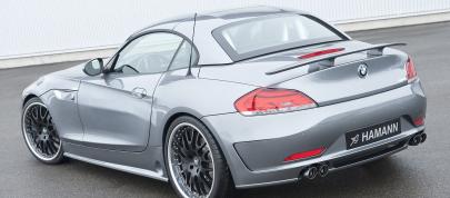 HAMANN BMW Z4 sDrive35i (2010) - picture 7 of 20