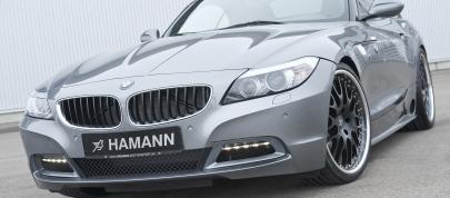 HAMANN BMW Z4 sDrive35i (2010) - picture 20 of 20