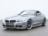 HAMANN BMW Z4 sDrive35i (2010) - picture 1 of 20