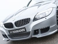 HAMANN BMW Z4 sDrive35i (2010) - picture 5 of 20