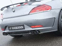 HAMANN BMW Z4 sDrive35i (2010) - picture 10 of 20