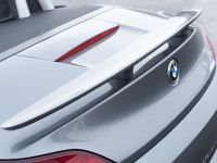 HAMANN BMW Z4 sDrive35i (2010) - picture 18 of 20