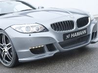 HAMANN BMW Z4 sDrive35i (2010) - picture 19 of 20