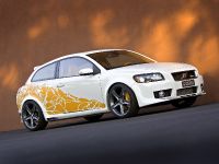 HEICO SPORTIV Volvo C30 SEMA (2009) - picture 6 of 18