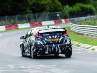 Honda Civic Type R Testing (2013) - picture 6 of 9