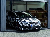 Honda Civic Type R Testing (2013) - picture 8 of 9