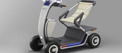 Honda Concepts 42nd Tokyo Motor Show (2011) - picture 12 of 12