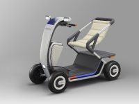 Honda Concepts 42nd Tokyo Motor Show (2011)