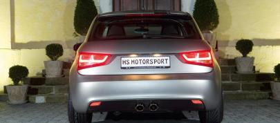 HS MotorSport Audi A1 (2010) - picture 4 of 8