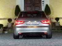 HS MotorSport Audi A1 (2010) - picture 4 of 8