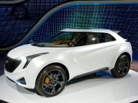 Hyundai Curb Crossover Detroit (2011) - picture 2 of 2