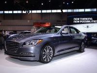 Hyundai Genesis Chicago (2014) - picture 3 of 4