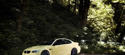 IND Dakar Yellow M3 (2009) - picture 15 of 15