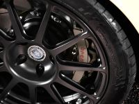 IND Dakar Yellow M3 (2009) - picture 11 of 15