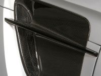 INDEN Design Mercedes-Benz SLS AMG Borrasca (2013) - picture 11 of 14