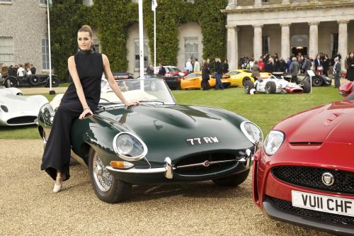 Jaguar at the  Goodwood Festival of Speed (2011) - picture 8 of 11