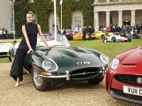 Jaguar at the  Goodwood Festival of Speed (2011) - picture 8 of 11