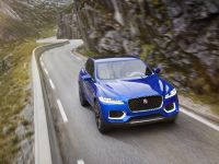 Jaguar C-X17 Sports Crossover Concept (2013) - picture 10 of 33