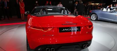 Jaguar F-TYPE Paris (2012) - picture 20 of 20
