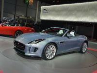 Jaguar F-TYPE Paris (2012) - picture 5 of 20