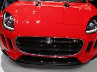 Jaguar F-TYPE Paris (2012) - picture 18 of 20