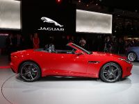 Jaguar F-TYPE Paris (2012) - picture 19 of 20