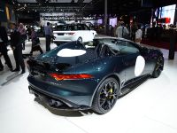 Jaguar F-Type Project 7 Paris (2014) - picture 6 of 6
