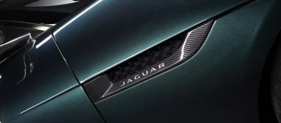 Jaguar F-TYPE Project 7 (2014) - picture 23 of 23