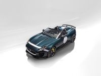 Jaguar F-TYPE Project 7 (2014) - picture 8 of 23