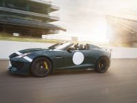 Jaguar F-TYPE Project 7 (2014) - picture 10 of 23