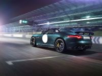 Jaguar F-TYPE Project 7 (2014) - picture 14 of 23
