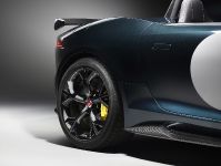 Jaguar F-TYPE Project 7 (2014) - picture 21 of 23