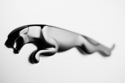 Jaguar XJ75 Platinum Concept (2010) - picture 17 of 21